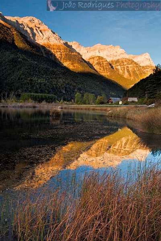 pineta reflection.jpg